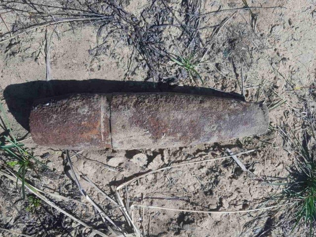 Более 270 снарядов времен Великой Отечественной войны найдено в лесополосе Балахнинского района