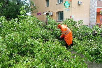Сильный ветер повалил более 30 деревьев в Самаре