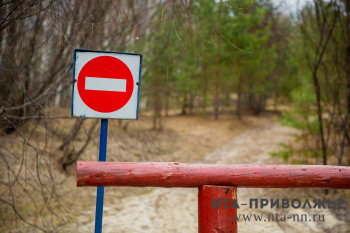 Посещение лесов восьми районов Ульяновской области запрещено из-за противопожарного режима
