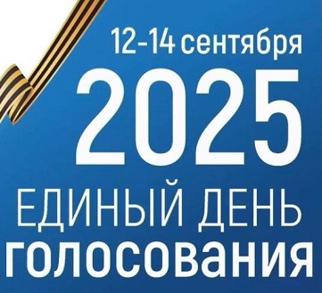 ДЭГ выбрали 20% избирателей в Чувашии