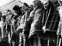 Международный день освобождения узников фашистских концлагерей отмечается 11 апреля

