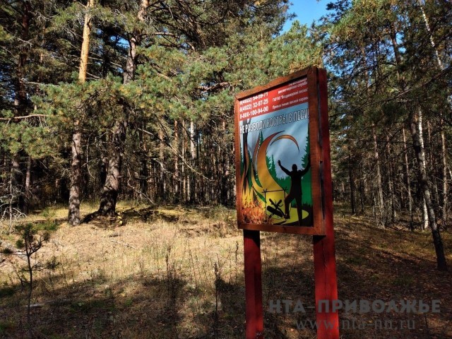Особый противопожарный режим снят в Нижегородской области