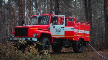 Количество лесных пожаров в Нижегородской области в этом году снизилось на треть Количество лесных пожаров в Нижегородской области в этом году снизилось на треть