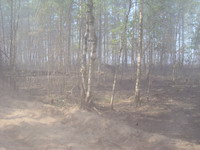 В 11 районах Нижегородской области к концу недели будет введен 5 класс пожароопасности – Лебедев