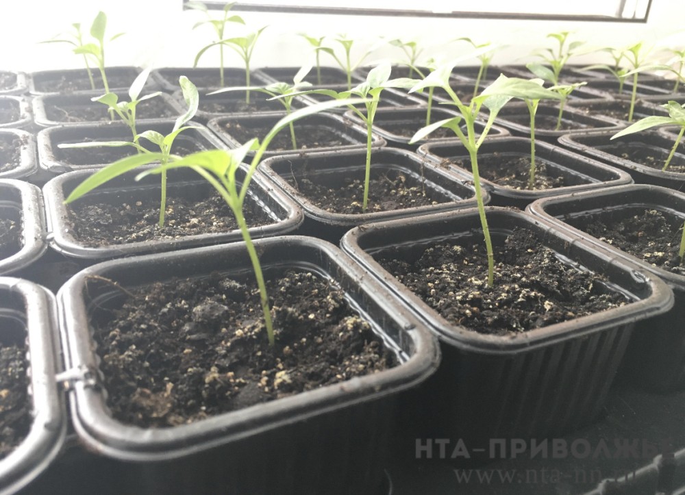 АПК Мордовии обеспечен кадрами на 89,9% к концу 2025 года