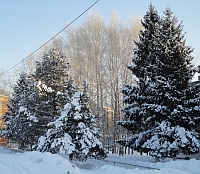 В Нижегородской области в конце января - начале февраля ожидаются наиболее сильные морозы