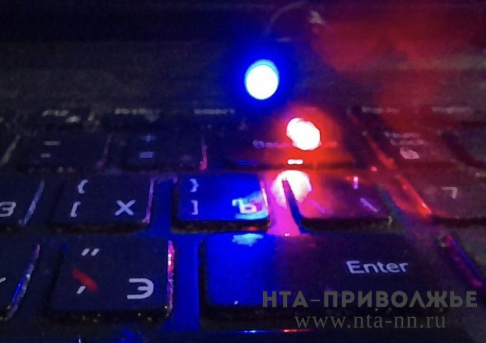 Свыше 65 дел по интернет-мошенничеству возбудили в Мордовии за неделю