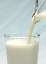 В Нижегородской области за декабрь 2008 года потребление молока снизилось на 5% - Шкилев 