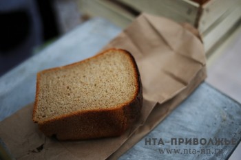 Год памяти и славы открыли в Нижегородской области митингом к 90-летию Тани Савичевой и акцией "Блокадный хлеб"