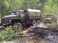 В Саров для тушения лесных пожаров направлены 2 пожарных поезда и 500 военнослужащих – Шанцев