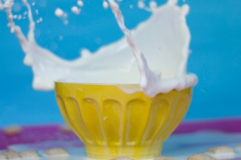 Молоко с недостаточным количеством белка выявлено в Нижегородской области