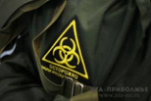 Ещё 499 заражений коронавирусом выявлено в Нижегородской области Ещё 499 заражений коронавирусом выявлено в Нижегородской области
