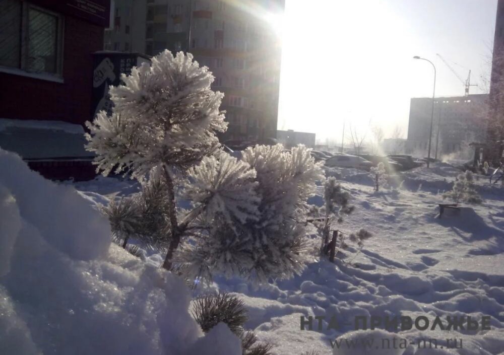 Морозы до -33°С ожидают жителей Удмуртии с 24 декабря