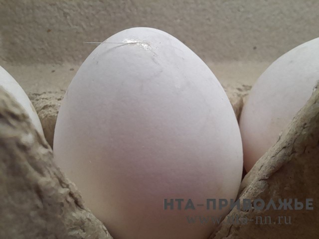 Оренбуржье закрывает 200% потребности в яйцах и 103% в мясе птицы