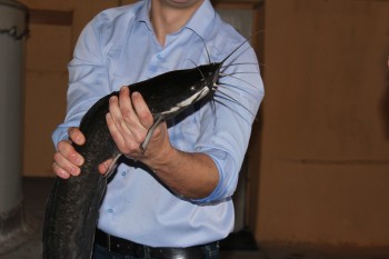 Нижегородские рыбоводы пройдут обучение в рамках программы &quot;Развитие товарной аквакультуры в Нижегородской области&quot;
