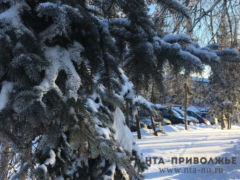 Морозная и ясная погода ожидается в Нижегородской области в начале недели