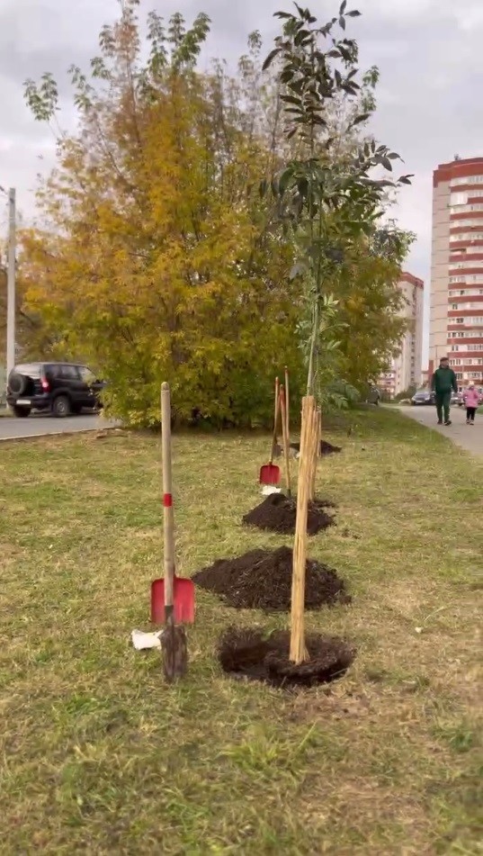 Новая Аллея героев появилась на улице И. Закирова Ижевска