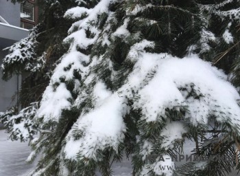 Народные приметы: 13 января 