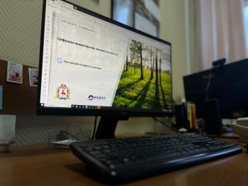 Более 14 000 госуслуг оказано через систему «Цифровой лес» в 2025 году