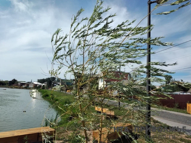 Гроза, град и порывы ветра до 26 м/с ожидаются в Башкирии 2 июня