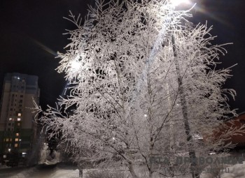 Народные приметы: 26 декабря