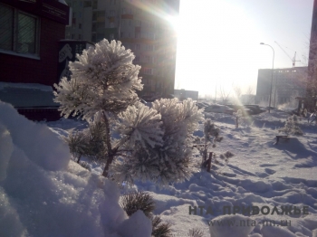 Потепление до -3 градусов ожидается в Нижегородской области к концу недели