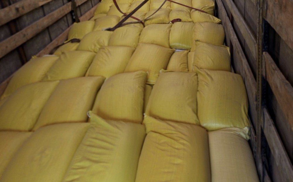 Более 9 тонн семян репчатого лука ввезли в Чувашию из Узбекистана