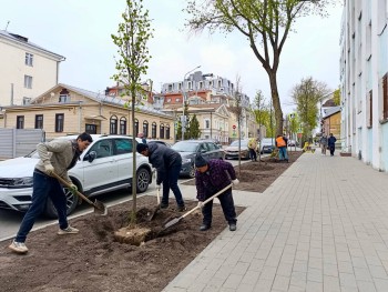 Более 500 деревьев высадят на набережной Гребного канала в Нижнем Новгороде Более 500 деревьев высадят на набережной Гребного канала в Нижнем Новгороде
