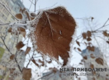 Народные приметы: октябрь