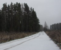 В Нижегородской области в ближайшие дни ожидается умеренно холодная погода