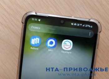 Ульяновская область предложила Минцифры РФ расширить "белые списки"