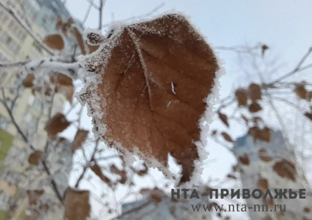 Народные приметы: 8 октября