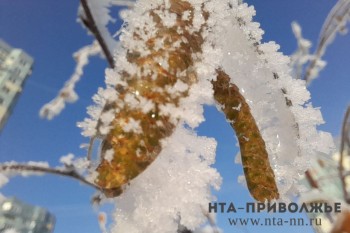 Температурные качели ожидают нижегородцев