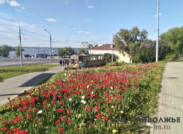 195 территорий вынесли на голосование по благоустройству в Саратовской области