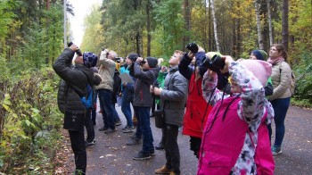 Дни наблюдения птиц проходят в Нижегородской области