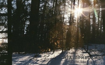 Численность охотничьих зверей растет в Кировской области