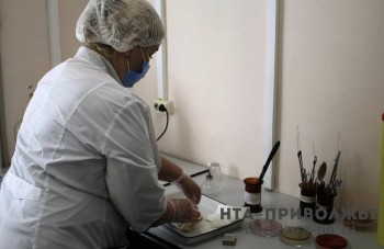 Более 40 детей за неделю обратились в медучреждения Чувашии с укусами клещей Более 40 детей за неделю обратились в медучреждения Чувашии с укусами клещей