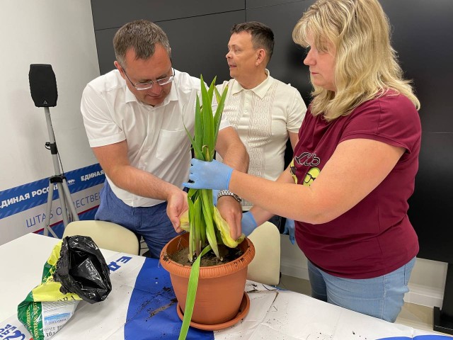 Нижегородцы старшего поколения высадили "символ Победы"