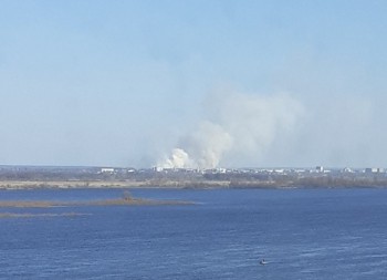 Свыше 2 тыс кв м. травы выгорело на полях за Борским мостом в Нижегородской области 26 марта