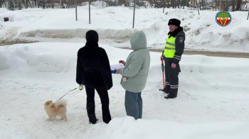 Рейды по контролю за чипированием собак проводят в Казани
