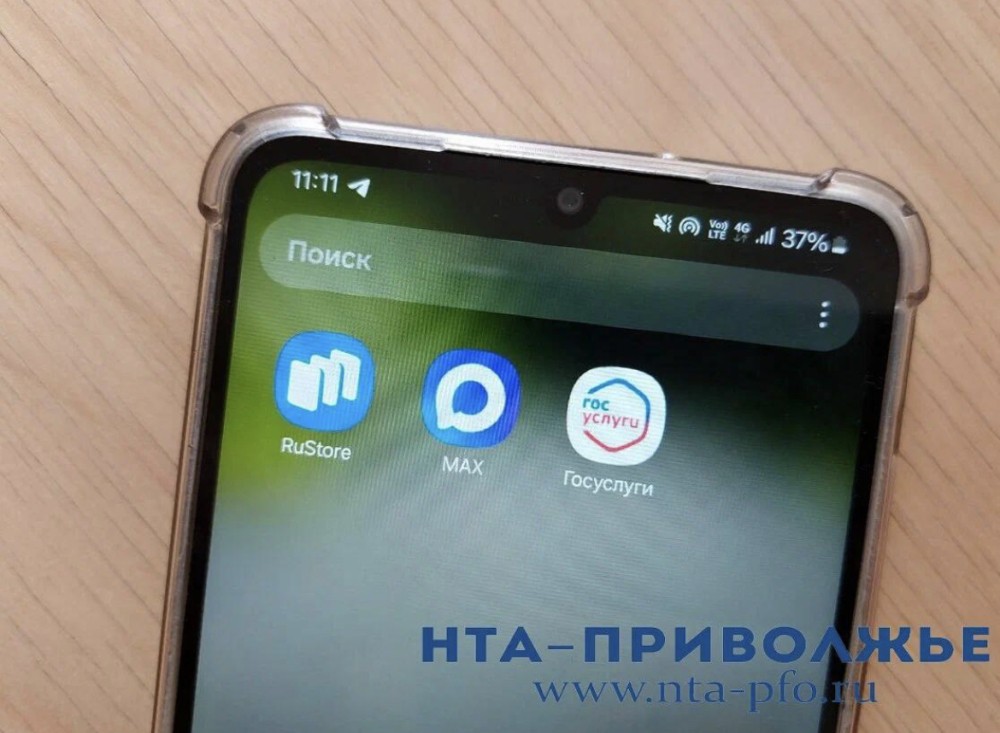 Ульяновская область предложила Минцифры РФ расширить "белые списки"