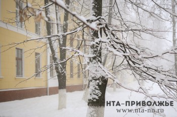 Снегопады и гололед прогнозируются в Нижегородской области в выходные