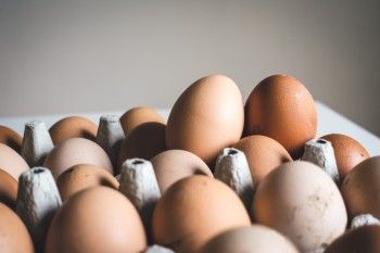 Стоимость куриных яиц планируют стабилизировать в Пензенской области