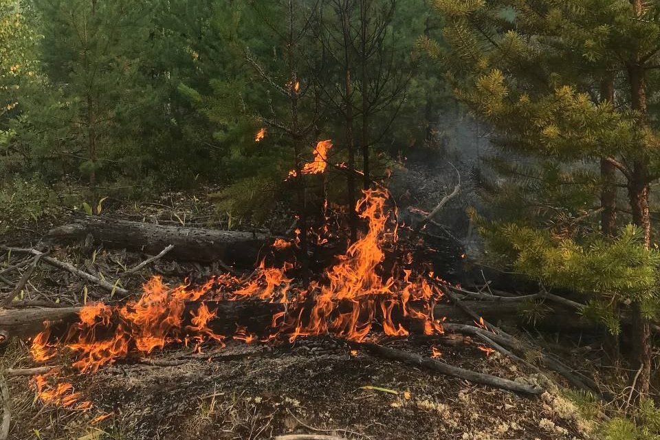 Лесной пожар из Нижегородской области перекинулся на Марий Эл