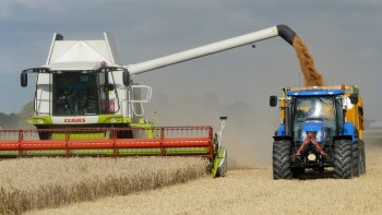 План по сбору зерна в Нижегородской области уже перевыполнен на 20%