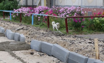 Более 4,8 тысячи кв.м отремонтируют в микрорайоне Доскино Автозаводского района Нижнего Новгорода по программе ФКГС