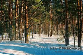 Сведения о 51 особо охраняемой природной территории внесены в Единый реестр недвижимости Нижегородской области