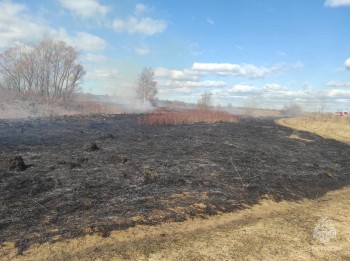 Палы травы потушены в Кстовском районе