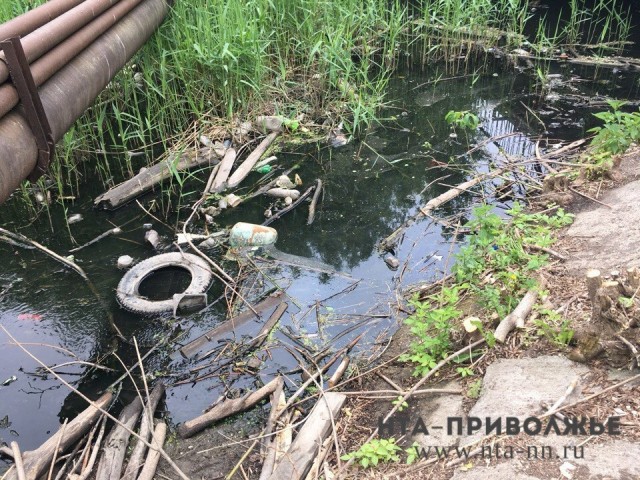 Свалку в парке Станкозавода Ленинского района Нижнего Новгорода хотят убрать на региональные субсидии Свалку в парке Станкозавода Ленинского района Нижнего Новгорода хотят убрать на региональные субсидии
