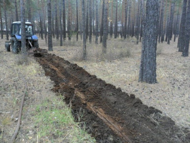 Противопожарное обустройство лесов Нижегородской области выполнено на 85% Противопожарное обустройство лесов Нижегородской области выполнено на 85%